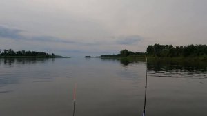 Отличный клев хариуса Рыбалка на Енисее