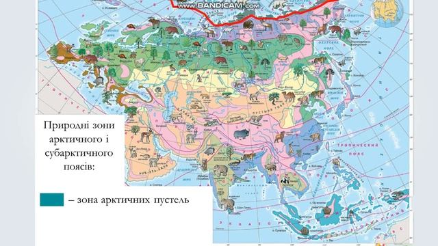 Нестеренко М. С. Географія: «Природні зони Євразії. Арктичні пустелі, тундра та лісотундра» (7 клас смотреть онлайн