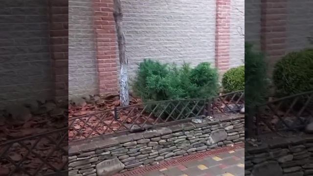 Мульчирование корой лиственницы.