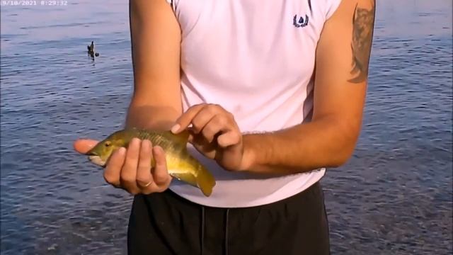 РЫБАЛКА НА КИНЕРЕТЕ. смотреть онлайн