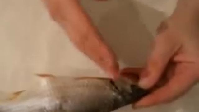 Вяленая рыба.Сделать самому или купить?