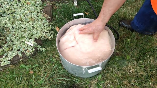 Окорок Тамбовский копчено-вареный 12.5 Кг. смотреть онлайн