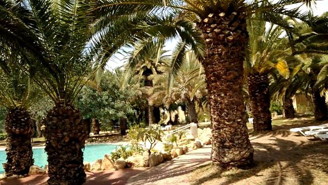 Отзывы об отеле Mediterranee Thalasso Golf 3*.Бронировать тур из Польши, Калининграда +7(4012)90009