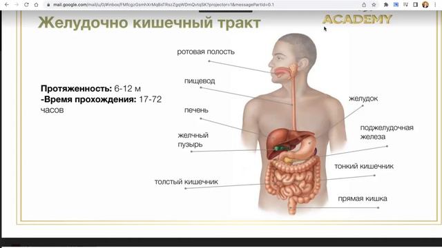 Чем опасно переедание?