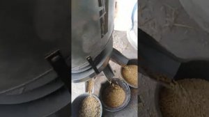 Супер сортировка сои