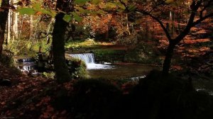 Relaxing Zen Music and Nature Sounds - Wooden Flute and Pan Flute - Meditation, Sleep Sound