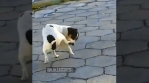 И так каждый рабочий день,не хочу,но я заставлю себя.