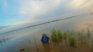 Веселовское водохранилище. Ловим судака на живца. рыбалка маныч