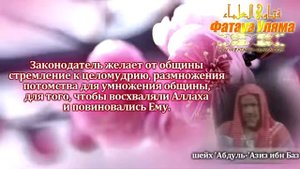 Совет жене о многоженстве шейх Ибн Баз