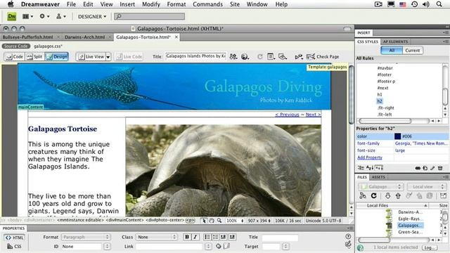 Adobe Photoshop CS4 Extended WORKING WITH CSS Creating Tag Styles смотреть онлайн