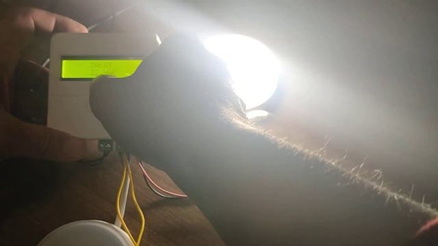 Таймер с функцией Восход-Закат для птичников и курятников двухканальный 220В (обзор) смотреть онлайн