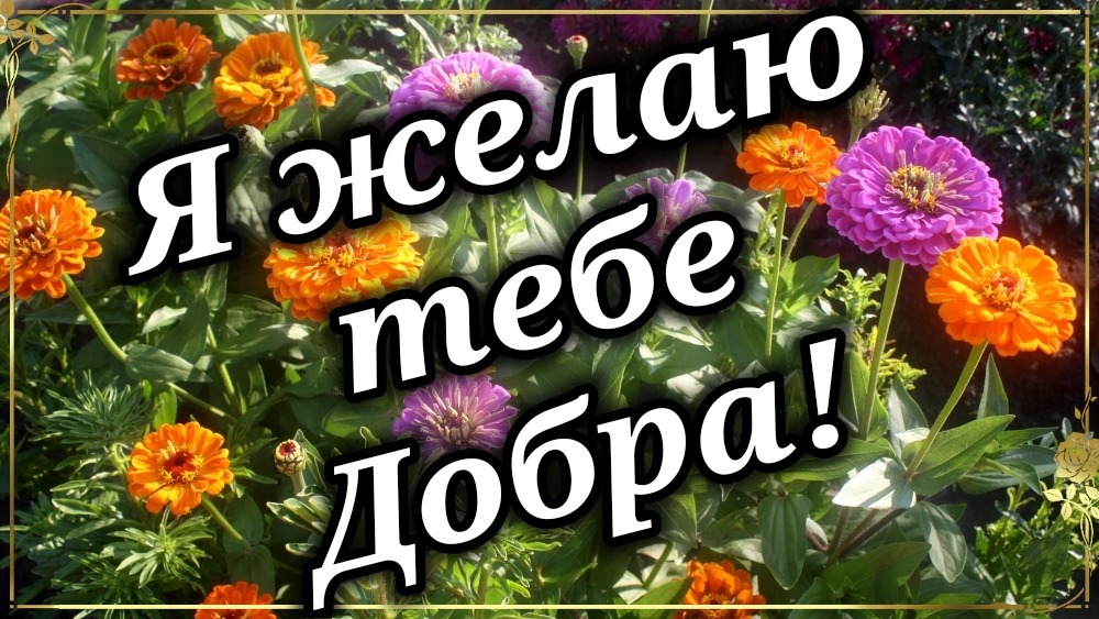 С Днем Доброты Всемирный день добра Пусть день начнется с доброты! 17 Февраля Красивое Поздравление