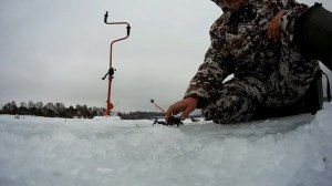Озернинское водохранилище. Зимняя рыбалка. Март. 2019.