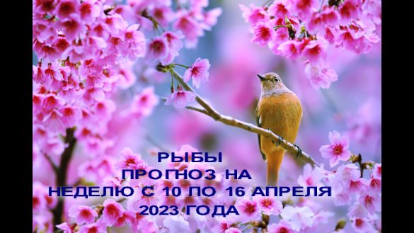РЫБЫ ГОРОСКОП НА НЕДЕЛЮ С 10 ПО 16 АПРЕЛЯ 2023 ГОДА