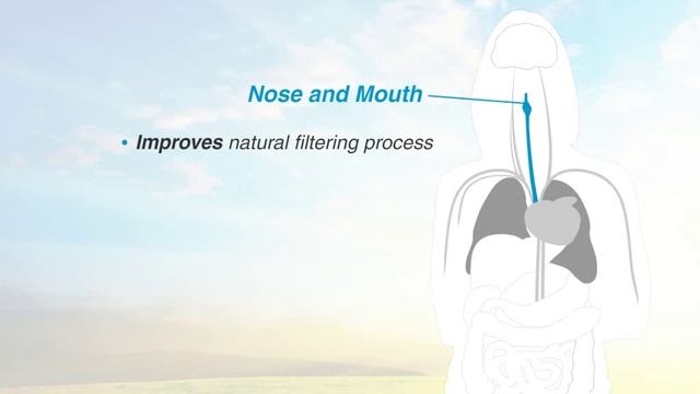 Elanra Ioniser смотреть онлайн