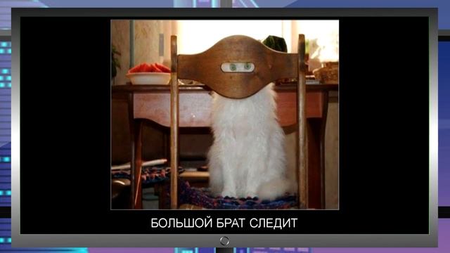 Блокировка "Телеграмм", Следящее ПО, Российские законы и Профсоюзы истина где то рядом))