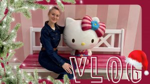 VLOG 26.01.2025 Мы на ОСТРОВЕ МЕЧТЫ!?