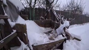 Крысиная смерть мой опыт. Часть 3