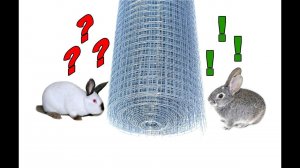 Покупка Орловской сетки для кроличьих клеток