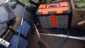 Удачный улов на озере Вселуг \ Попал на жор судака / Судак радовал поклевками