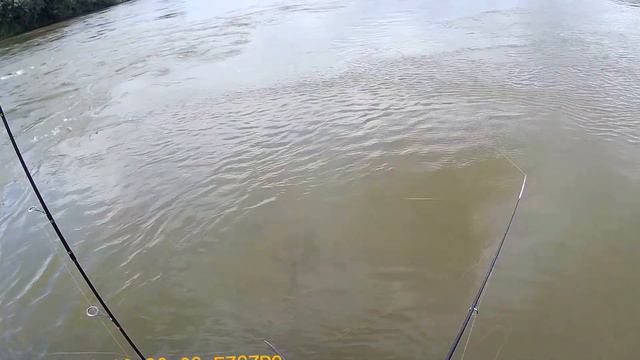 р.Мокша окунь на микроджиг. смотреть онлайн