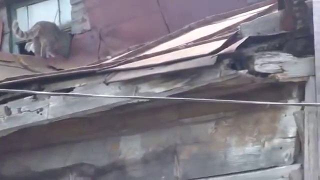 Елец