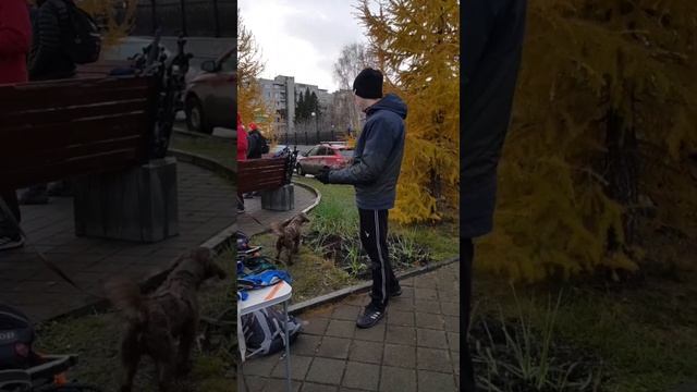 5 вёрст и "Оставь след" смотреть онлайн