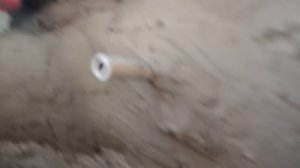 биогаз, строительство биогазовой установки, газ бесплатно