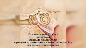 Евстахиит или тубоотит