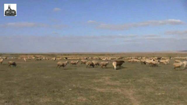 Татары в золотоордынском Азаке