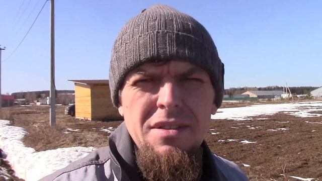 Частичное подтопление всходов чеснока после зимы 2022. Первая подкормка