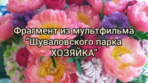 Заповедник СКАЗОК РДШ проект команды "Очень Добрые Дети-краеведы" Я познаю Россию