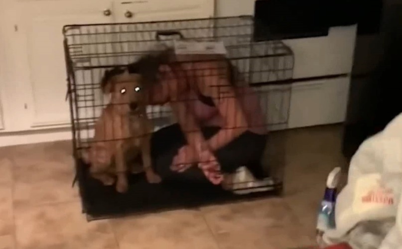 Смешные приколы Февраль 2023 #101 смотреть онлайн