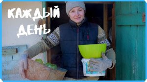 ЧТО НУЖНО ДЕЛАТЬ В ДЕРЕВНЕ КАЖДЫЙ ДЕНЬ