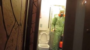 Через какое время после дезинсекции исчезают тараканы