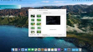 Большой обзор macOS 11 Big Sur - Мнение Хакинтошника. Запуск приложений. Тесты.