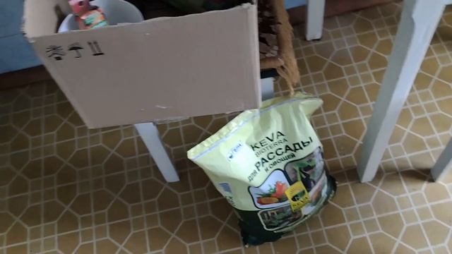 БЕЛАРУСЬ/рассаживаю мяту/ сею семена овощей, пряностей и ягод первый раз смотреть онлайн