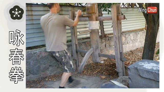 Моё самостоятельное обучение Вин Чун дома 03.09.16 смотреть онлайн