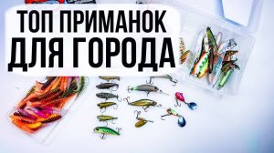 ЛУЧШИЕ ПРИМАНКИ для ЛОВЛИ в ГОРОДЕ