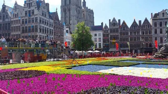 Flower Carpet 2015 Antwerp - Bloementapijt смотреть онлайн