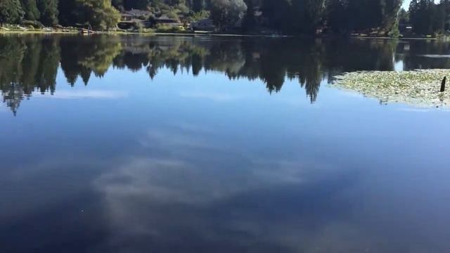 Озеро Хеллер,Сиэтл смотреть онлайн