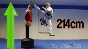 Jump Spin Kicking a Bottle off BOB's Head *214cm* | Taekwondo