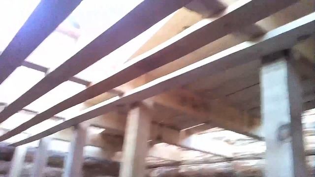 Баня. Черновые полы и каркасная перегородка смотреть онлайн