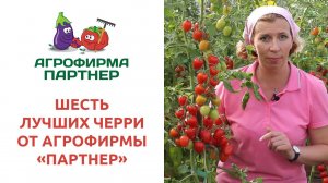 ШЕСТЬ ЛУЧШИХ ЧЕРРИ ОТ АГРОФИРМЫ ПАРТНЕР