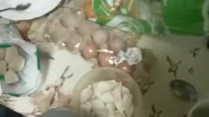 Как легко и быстро приготовить пельмени в микроволновке)