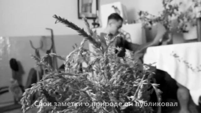 Виталий Бианки в Бийске. Газета "Алтай" (реконструкция) смотреть онлайн