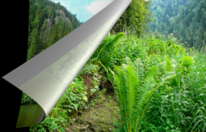 Сплав по р. Мана, Красноярский край. Пейзажи второй день. Поселок Урман. 08 июля 2007 г.