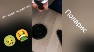 Черви в блендере?