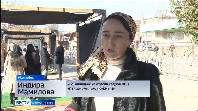 Молодежь Ингушетии предлагает безработным вакансии смотреть онлайн