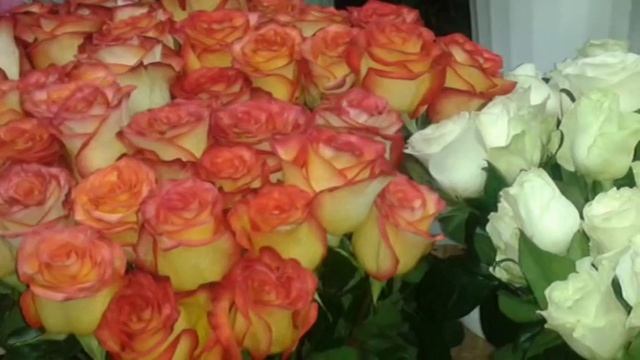 Почему так сладко пахнут розы смотреть онлайн